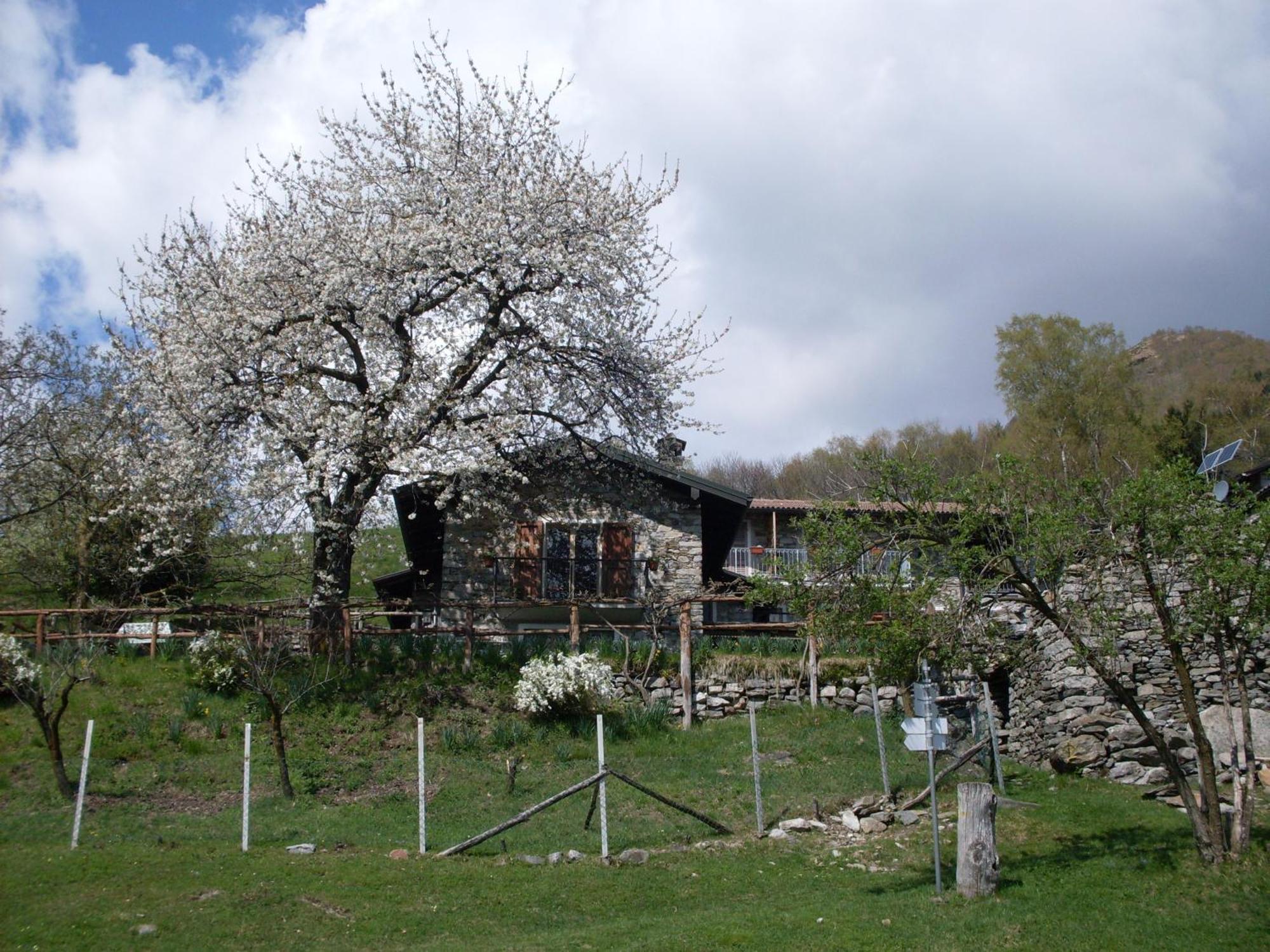 Agriturismo Da Attilio Каннобіо Екстер'єр фото