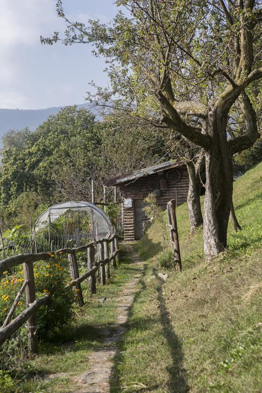 Agriturismo Da Attilio Каннобіо Екстер'єр фото